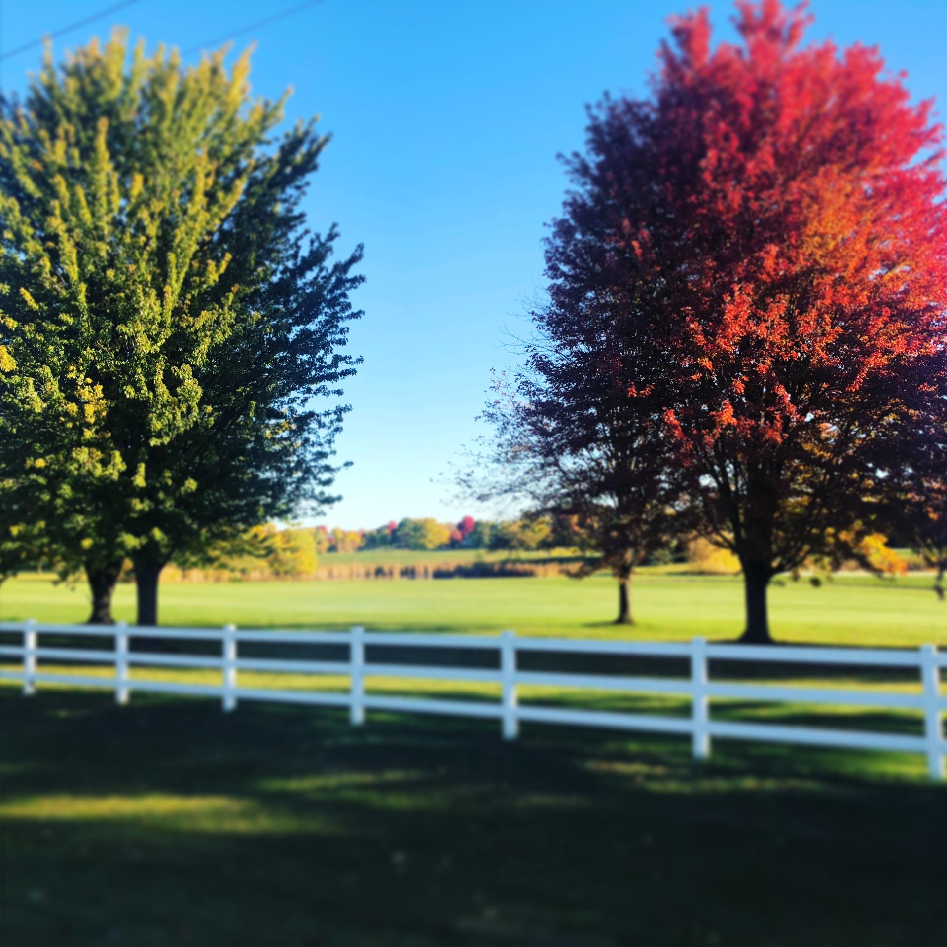 2020 Fall Photo - Golf Course