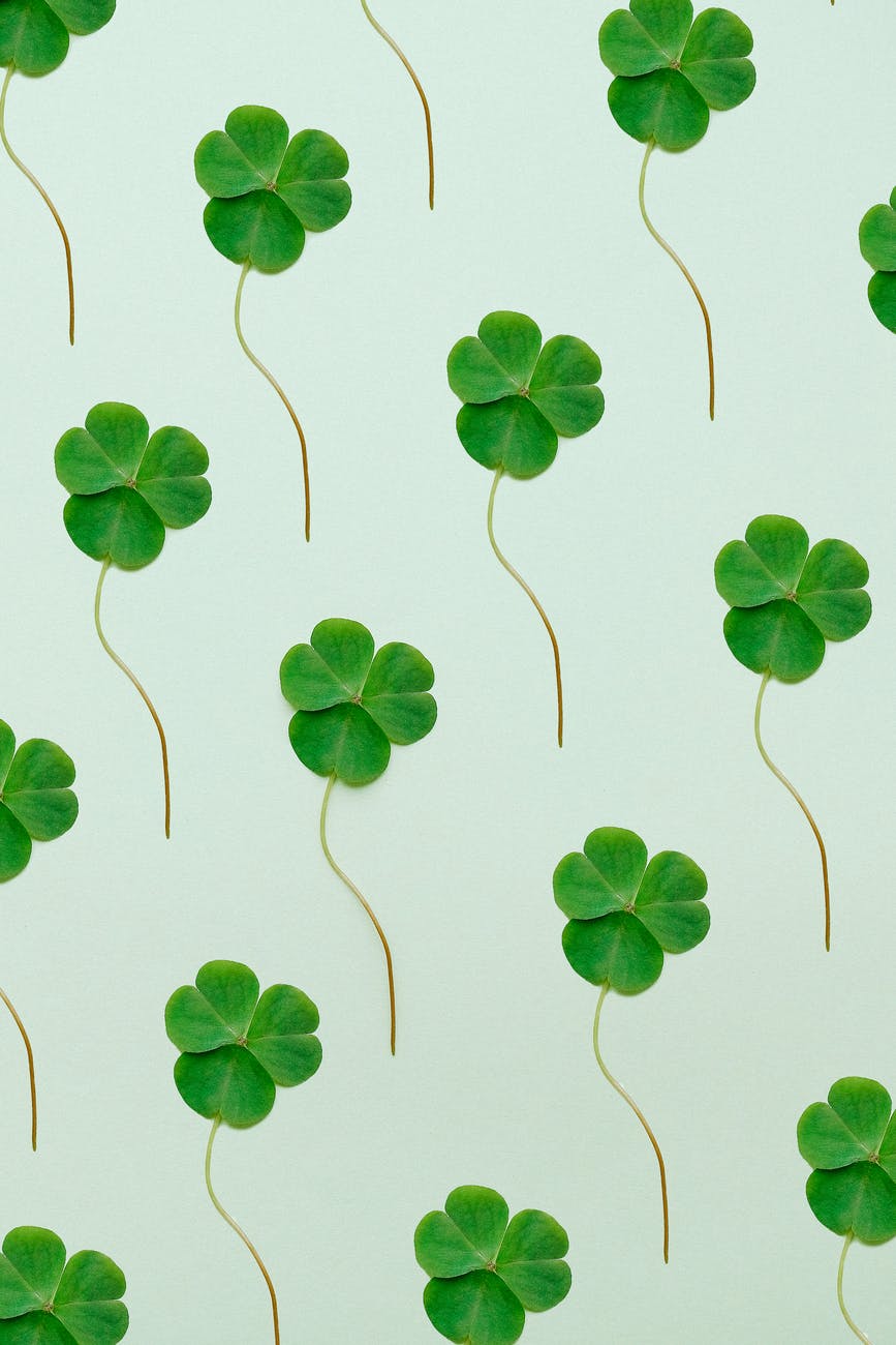 St Patricks Day clovers